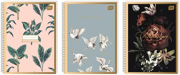 Immagine prodotto Interdruk Coloshite A4 (A4)