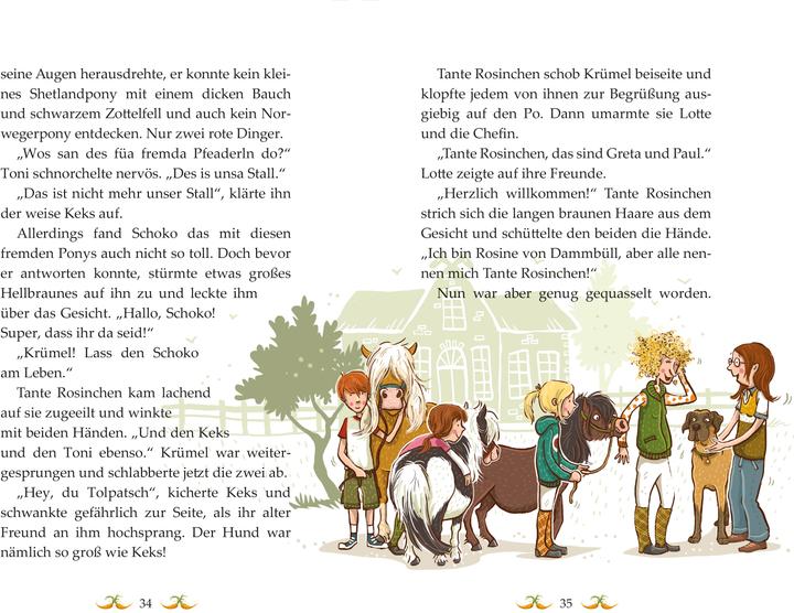 Produktbild Die Haferhorde - Stallpiraten ahoi! - Band 5 (Deutsch, Suza Kolb, 2016)
