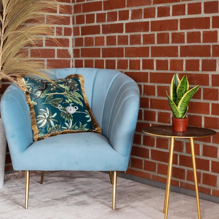 Actual product image Flowerbox Bogenhanf - Sansevieria trifasciata Superba (25 cm)