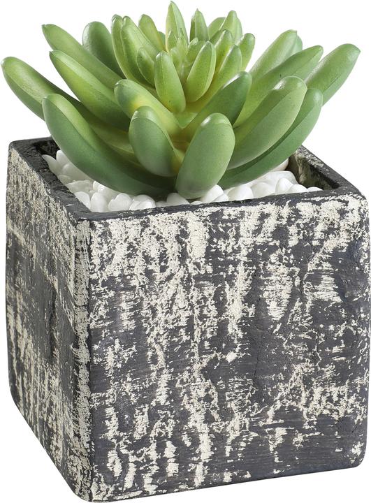 Actual product image EGLO LIVING Chitose (12 cm)