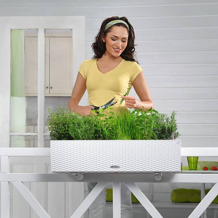 Actual product image Lechuza Balconera Cottage (19 cm)
