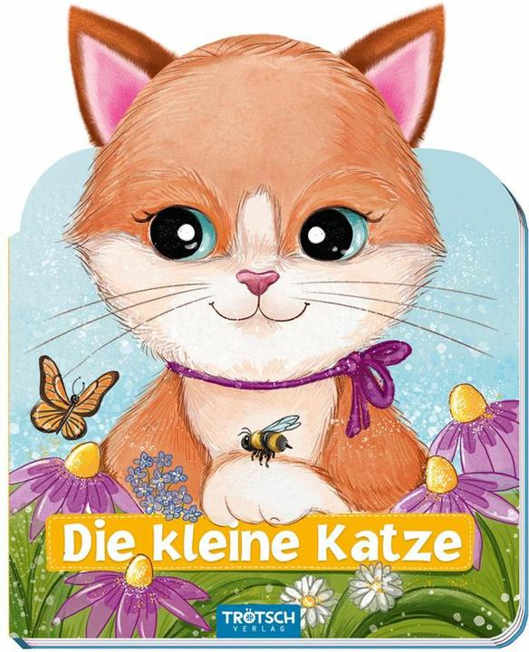 Produktbild Verlag (Deutsch)