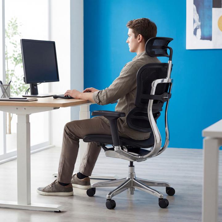 Actual product image Hjh Office Ergohuman Gen2 (45 - 56 cm)