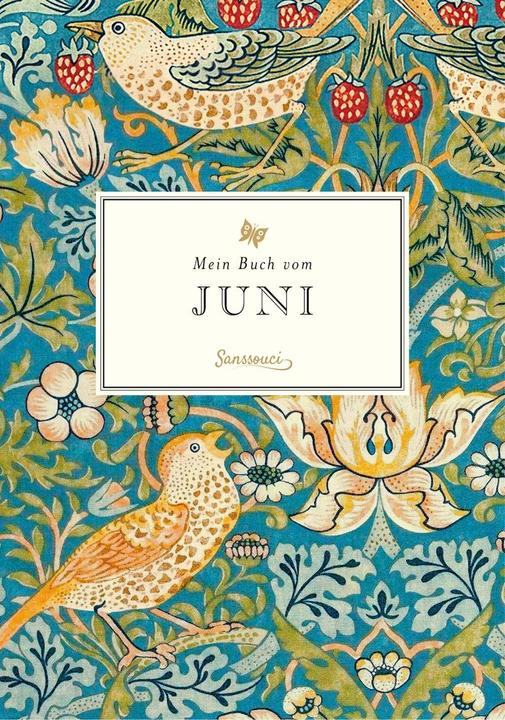 Produktbild Mein Buch vom Juni (Deutsch, Liane Dirks, 2017)