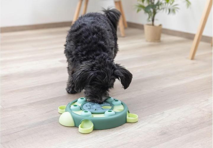 Actual product image Kerbl Turtle thinking and learning toy (Intelligence toy dog)