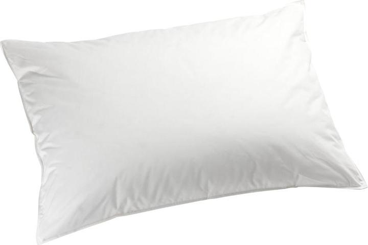 Actual product image Johann Jakob Luna-Doppio (50 x 70 cm)