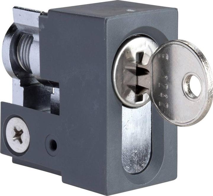 Actual product image Schneider Electric Spacial SF/SM lock reinforced with NSYINKR2 (Mortise lock)