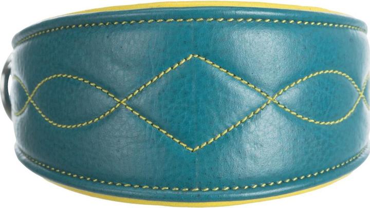 Actual product image Trixie Collar Active Comfort with pull-stop (M, S, Dog, General)