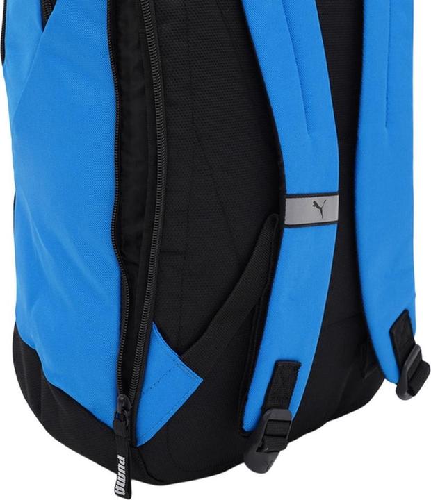Actual product image Puma Team Goal Logo 24L Backpack (24 l)