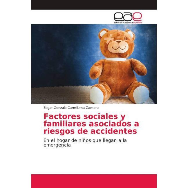 Factores sociales y familiares asociados a riesgos de accidentes, Fachbücher von Edgar Gonzalo Carmilema Zamora