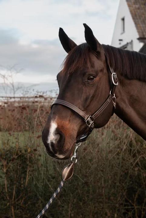 Image du produit Dy'on Us