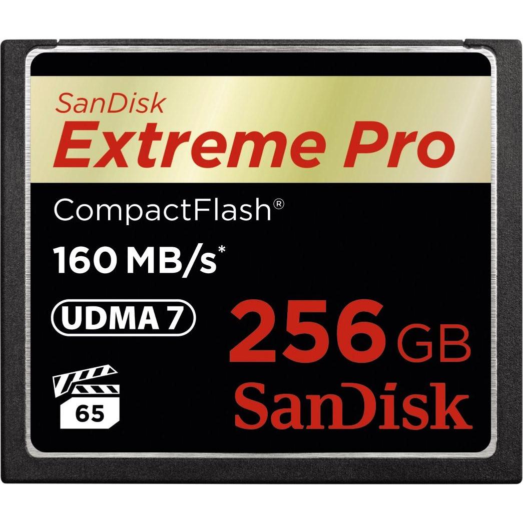 SanDisk Extreme Pro Compact Flash (256 GB, CF), Speicherkarte, Schwarz