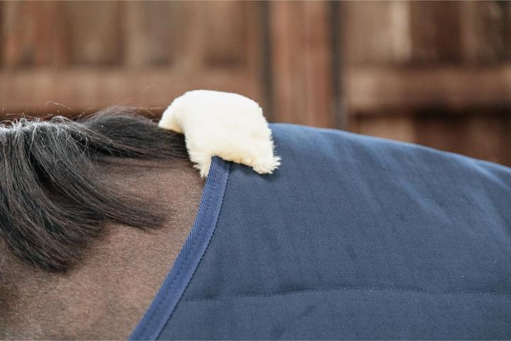 Actual product image Kentucky Horsewear Classic 100 g (125 cm)