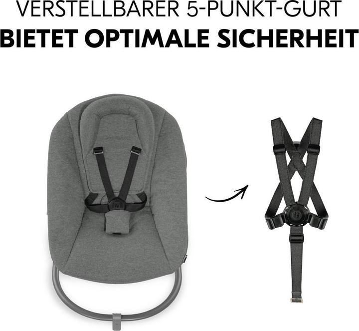Produktbild Hauck Alpha Plus (Hochstuhl)