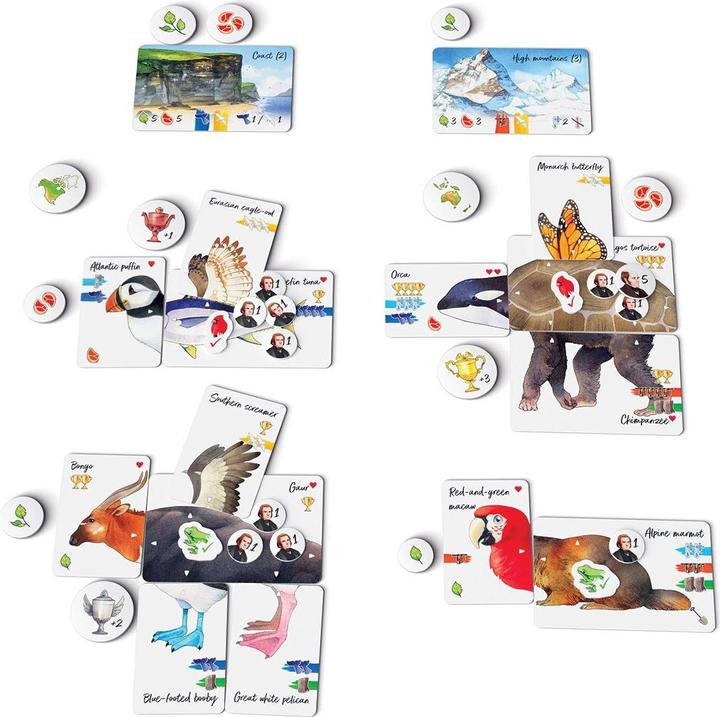 Immagine prodotto Treeceratops La scelta di Darwin (Tedesco)