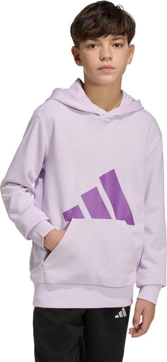 Produktbild Adidas J Bl Ft Hd 280 - icelav/actpur (128)