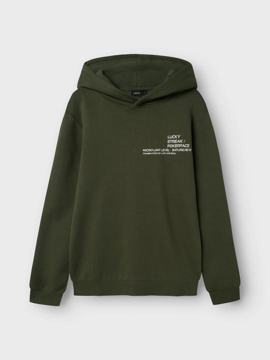 Actual product image Lmtd Regular Fit Hoodie (122, 128)