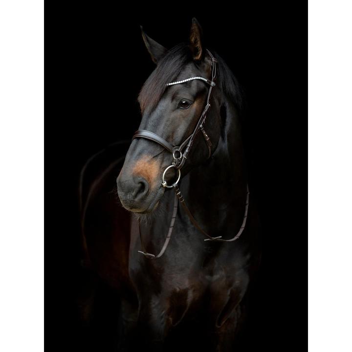 Produktbild Catago Gentle