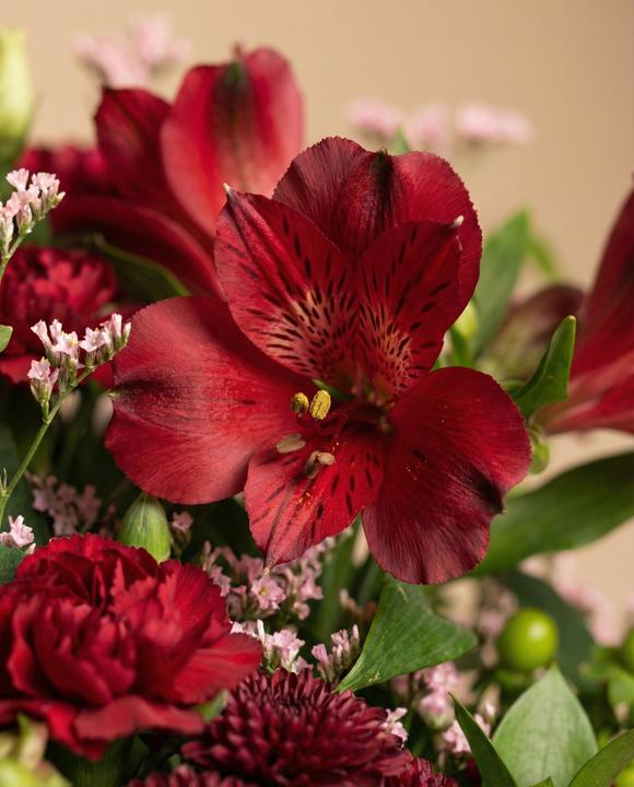 Image du produit feey Amore Deluxe (Fleurs coupées, 20x)