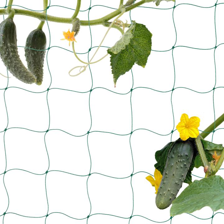 Actual product image Relaxdays Trellis net (10 cm, 100 cm)