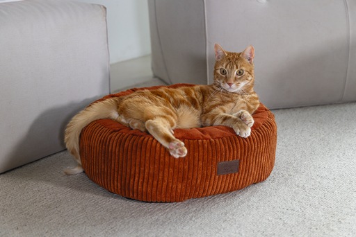 Immagine prodotto Designed by Lotte Ribbed (Gatto)