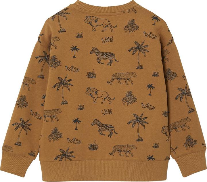 Immagine prodotto Vertbaudet Jungen Sweatshirt mit Recycling-Polyester (158, 164)