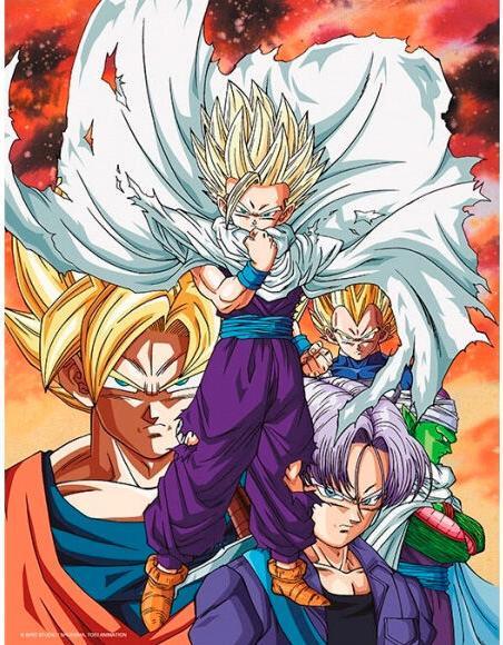 SD Toys Dragon Ball Z Heroes vs Cell glass poster (30 x 40 cm)
