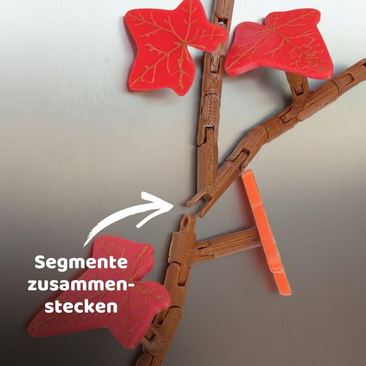 Produktbild Hermex 23-tlg. 3D Efeu-Kühlschrankmagnet-Set Magnet Efeuranken-Deko (23x)