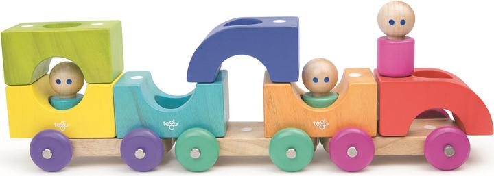 Actual product image Tegu Tram