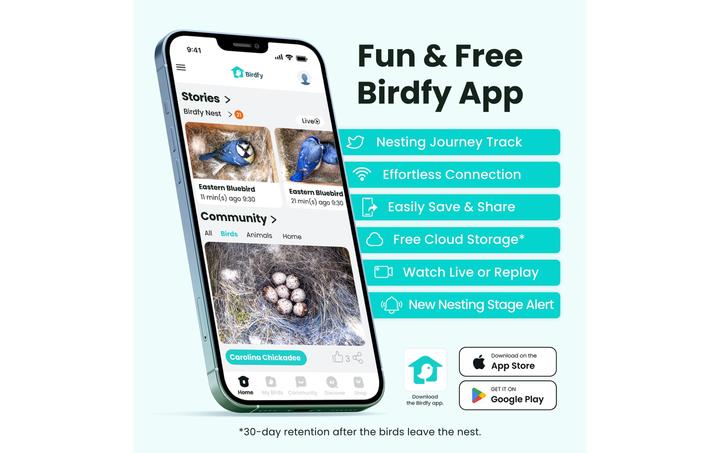 Actual product image Birdfy Nesting box with camera and solar