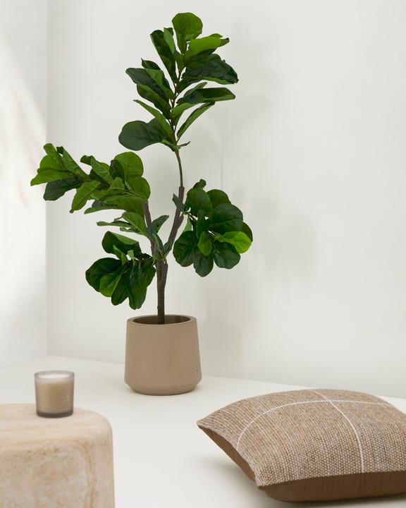 Image du produit Kave Home Ficus (150 cm)