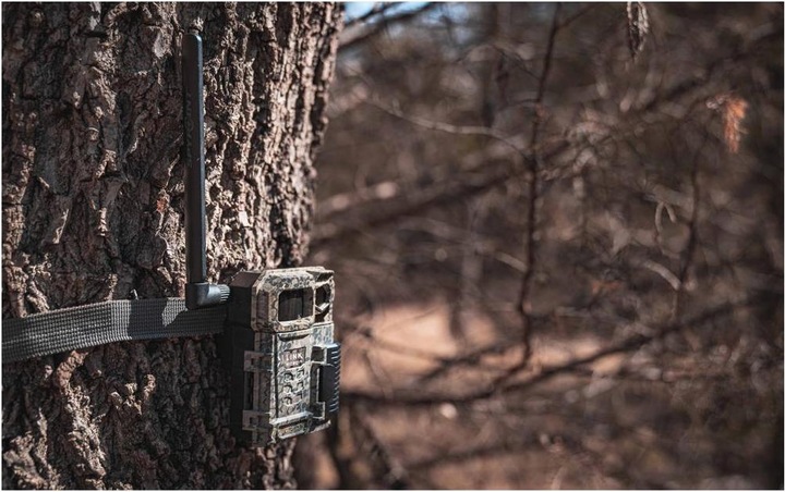 Immagine prodotto Spypoint Link-Micro-Lte