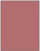Actual product image Maybelline New York Super Stay (15 Lead The Way)