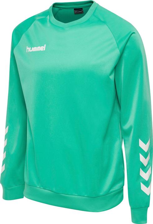 Actual product image hummel Promo Kids Poly Sweatshirt (164)