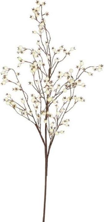 Bludeko Beerenzweig XL (114 cm) - kaufen bei Galaxus - Galaxus