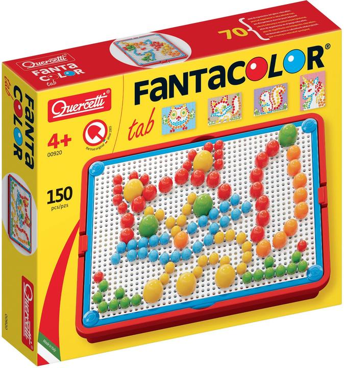 Actual product image Quercetti Mosaic case