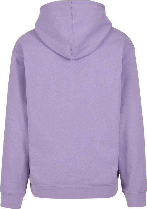Produktbild Obey Established Works Eyes Hoodie - 121801 (M)