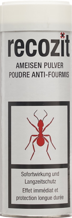 Ants powder