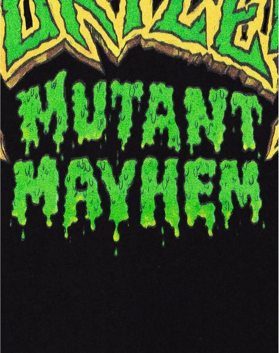 Produktbild Teenage Mutant NT Logo Hoodie (L)