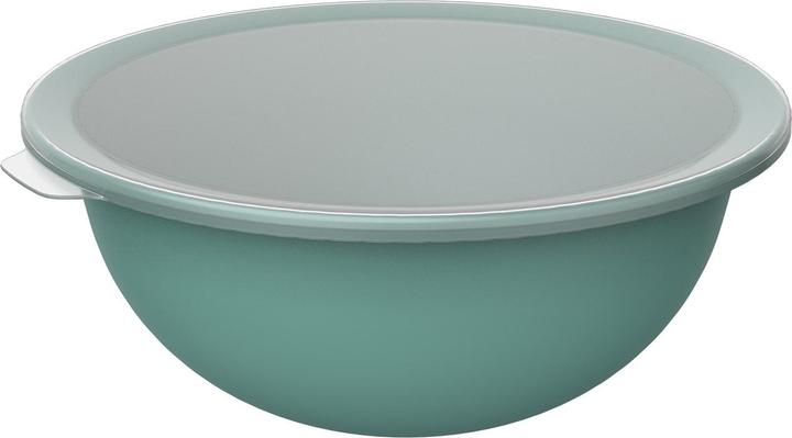 Immagine prodotto Rotho Ciotola Caruba 30.5 cm, Verde (30.50 cm, 4.80 l, 1 x)
