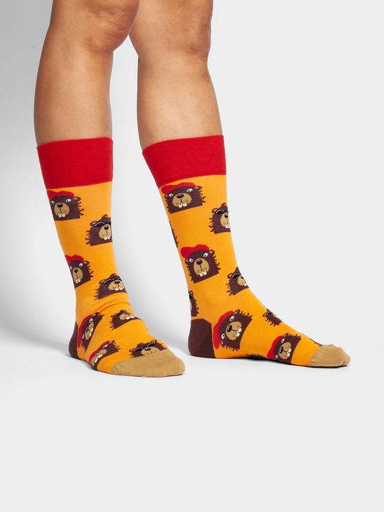 Actual product image DillySocks Bievers In The Hood (36 - 40)