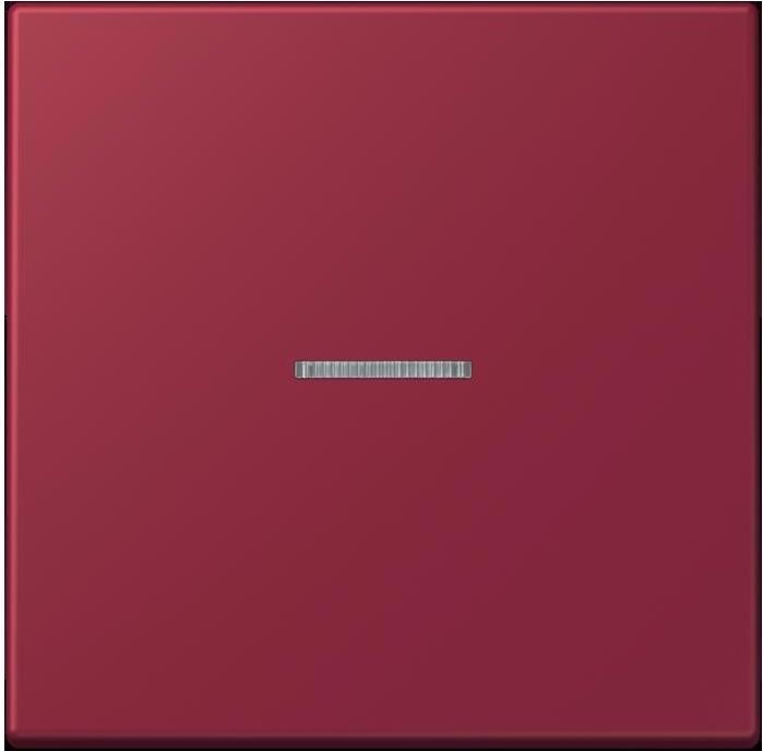 Actual product image JUNG Rocker