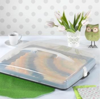 Actual product image Xavax cake transport box Tin cake transport box