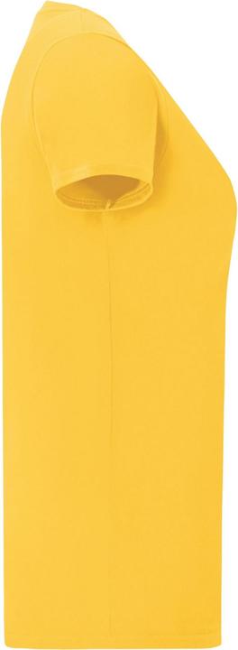 Actual product image Fruit of the Loom Womens/Ladies Iconic T-Shirt (L)