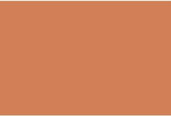 Produktbild Tsukineko StazOn Inkpad Rusty Brown