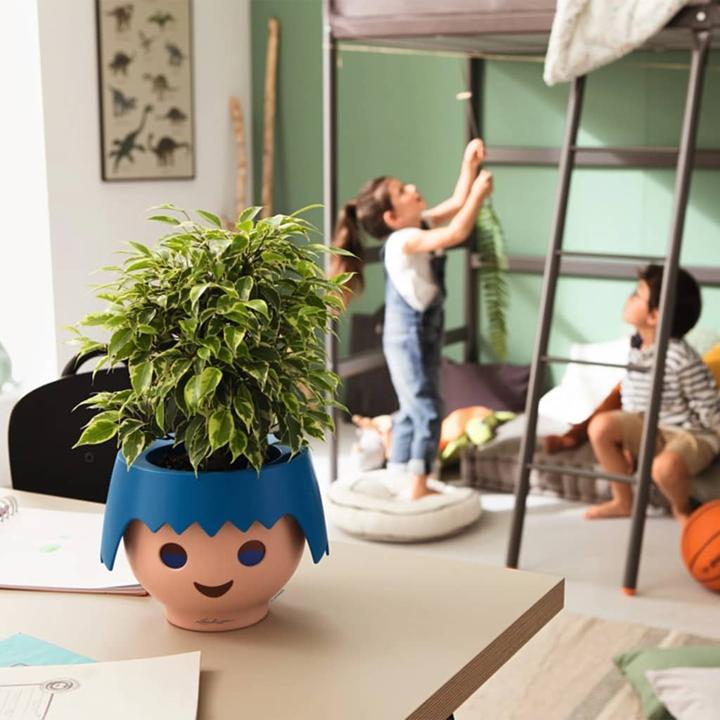 Actual product image Lechuza Ojo (21 cm)