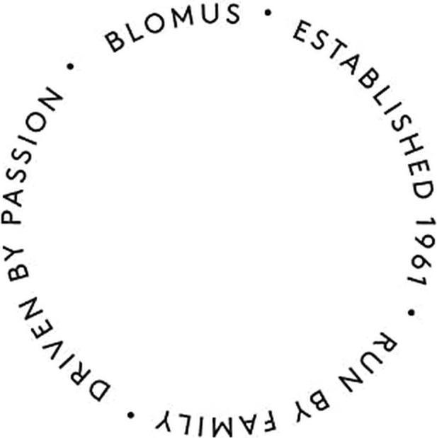 Image du produit Blomus NEXIO- Distributeur de serviettes en papier en inox poli, 30 x 27 x 13 cm, inox