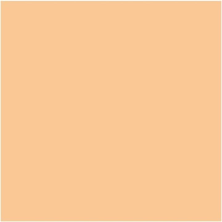 Produktbild MAC Cosmetics Studio Fix Soft Matte Foundation Stick (NC13)