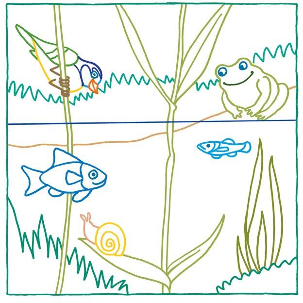 Produktbild Zauberpapier Malbuch Ab in die Natur