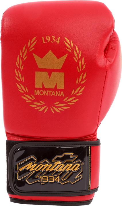 Immagine prodotto Montana X-Perience (16 OZ)
